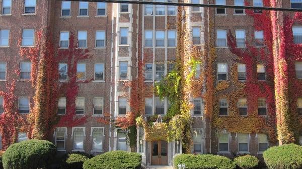 Belleayre Apartments