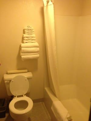 Tiny but functional bathroom