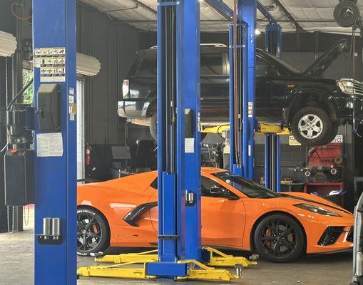 Sports car or family SUV, we've got you covered with expert diagnostics and care.
