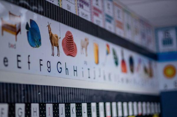 Adorable Stars of Tomorrow