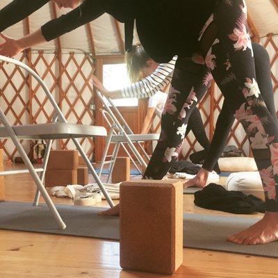 Yoga therapy with Michelle in a 200-Hour Yoga Teacher Training + 300-Hour Yoga Teacher Training