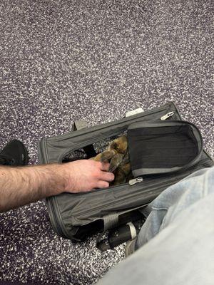 Louisiana State University Veterinary Teaching Hospital