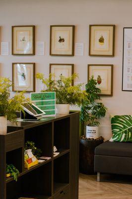 Aloha Green Apothecary - King St