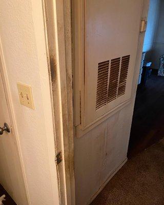 Blessed Mess Cleaning