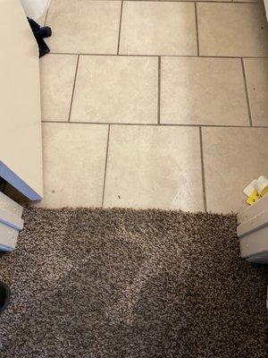 Water damage from the mainline backing up, picture was taken on 01/01/2022