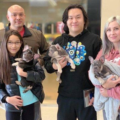 Flight Nanny QT Pet Transport