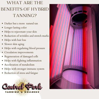 Central Park Tanning & Wellness