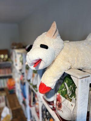 Lamb Chop 23" dog toy, hanging out in the shop at 8393 West Main Street in Marshall, Virginia, just 20 minutes from Middleburg, Virginia
