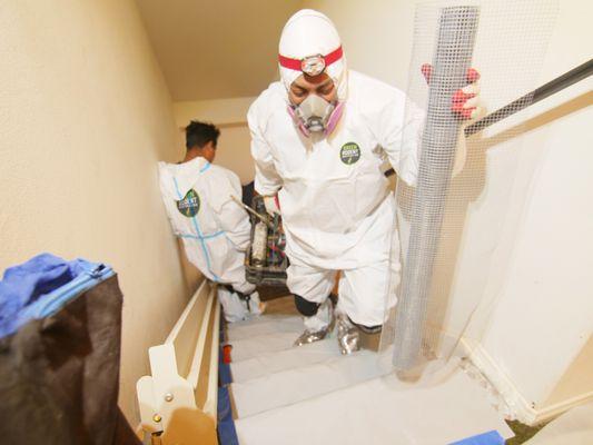 Green Rodent Restoration