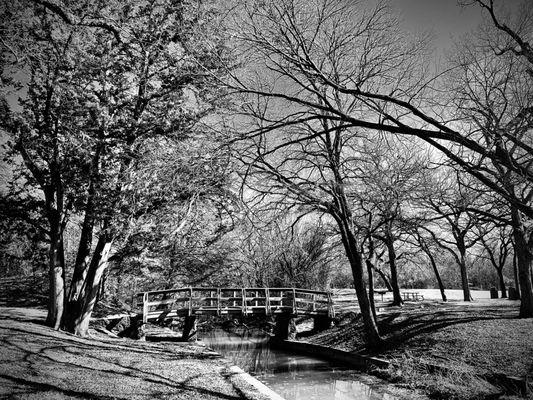 Grapevine Springs Preserve