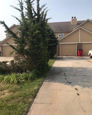 91Tree 81Sticks Tree Service