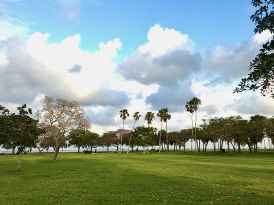 St. Petersburg Parks & Recreation