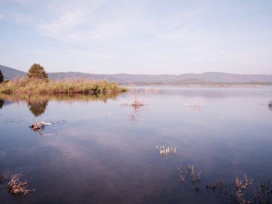 marshes