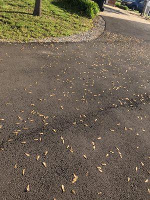 M&C 52 Professional sealcoating