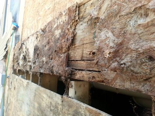 Renovation Consultants