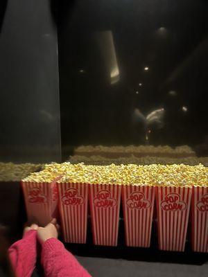 Motion Picture Association of America