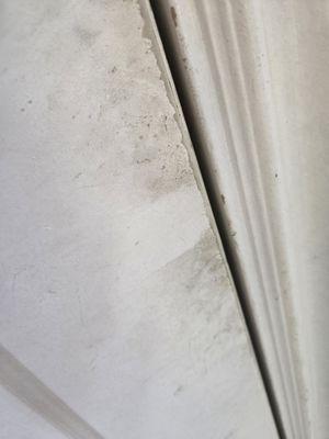 Marlin Dginguerian- JohnHart Real Estate