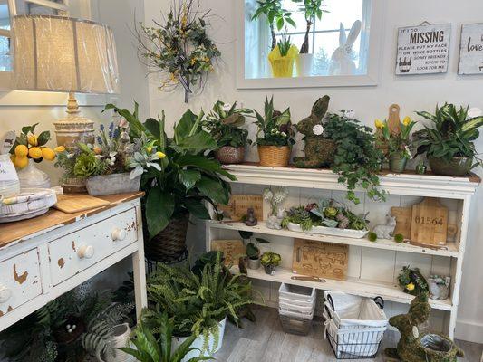 White Cottage Flowers