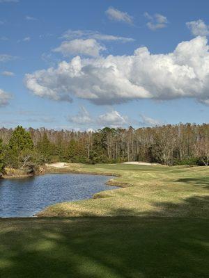 Tee box
