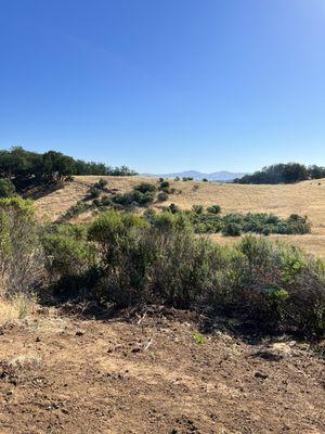 Almaden-Quiksilver Trail