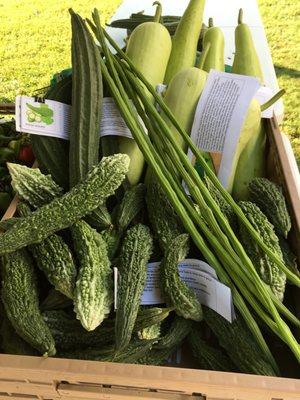 Flower Mound Farmers Market