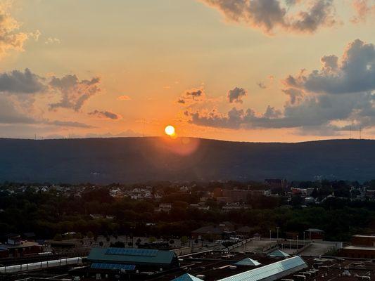 The Roof at Oppenheim