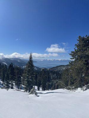 Tahoe Snowshoe Tours