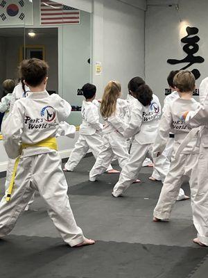 Park's World Taekwondo