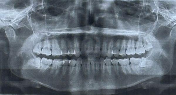 Finegold Deborah DDS