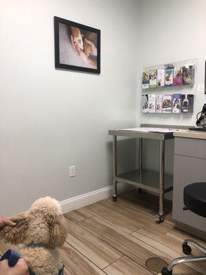 East Coast Animal Hospital