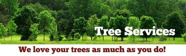 Hernandez Tree Experts