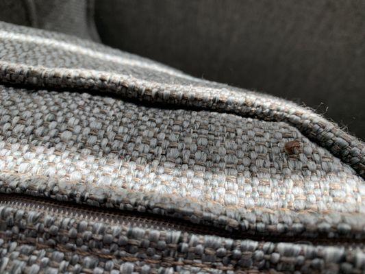 Blue Waters Treasure Island