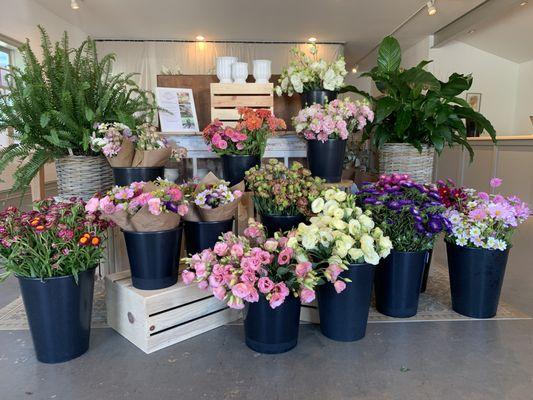 Westwind Flowers Farm & Studio