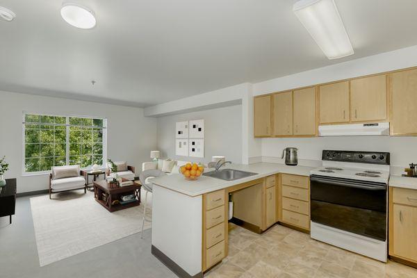 Kirkland Union Plaza