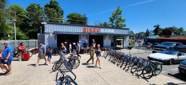 Busy beautiful summer day at the Bike Barn.