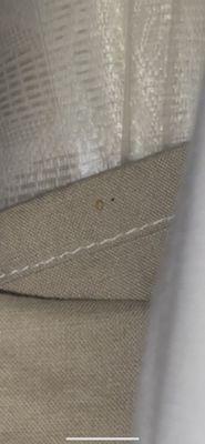 Satterwhite Point Marina