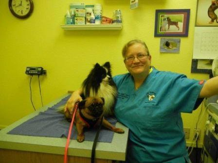 Dr. Melissa Smith and pals having a good time in her fear-free clinic.