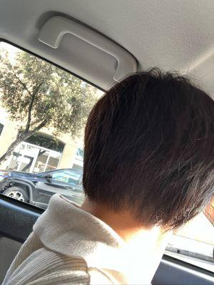 LEFT THE BACK COMPLETELY UNTOUCHED CAUSE SHE FUCKED UP THE BOTTOM LAYER