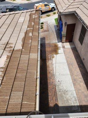 Pigeon Problem Solvers