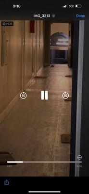 Optimus Property Management