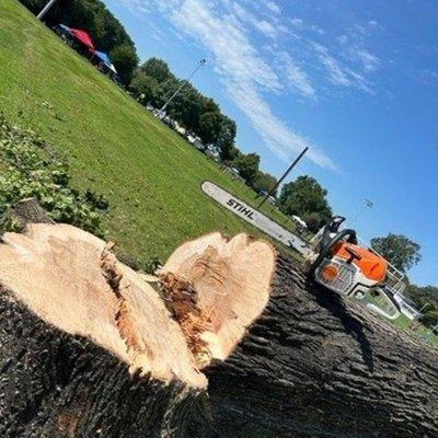Knock on Wood Tree Service