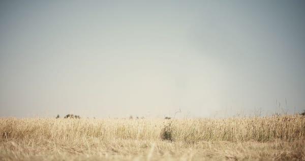 User Experience Consultants