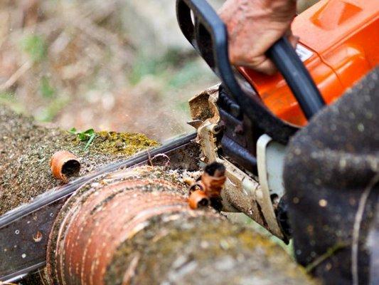 Brother Tree Service