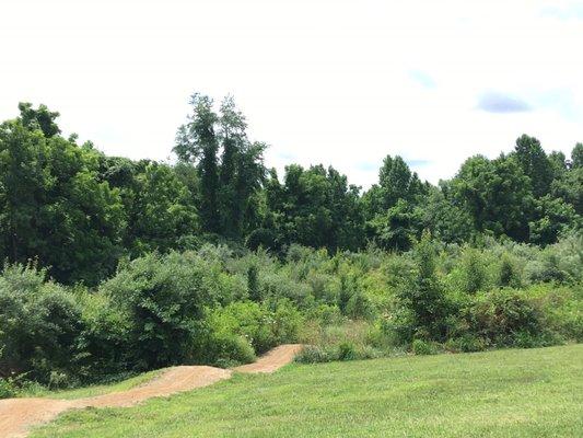 Middle Run Valley Park