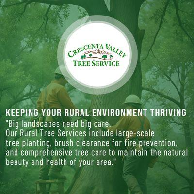 Covering the rural area by Crescenta Valley Tree Services the kings of professional Tree Experts