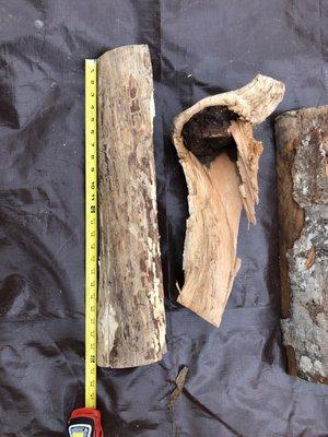 Strong Students Lawn Care