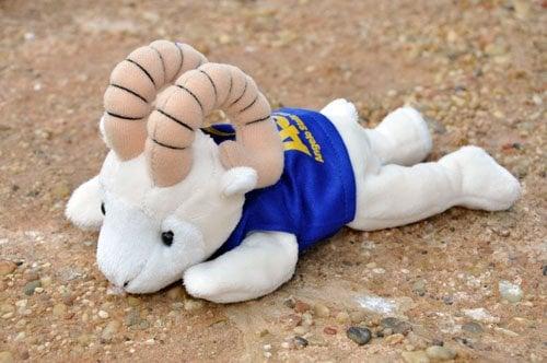 Angelo State Alumni Outfitter