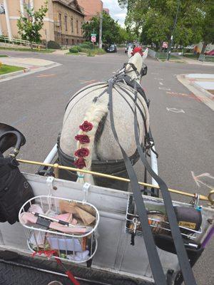 Occasional Carriages