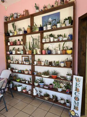 A wall of plants to admire while sipping coffee