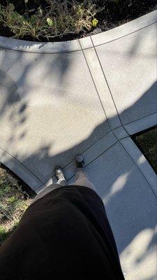 Walkway Decontamination- After